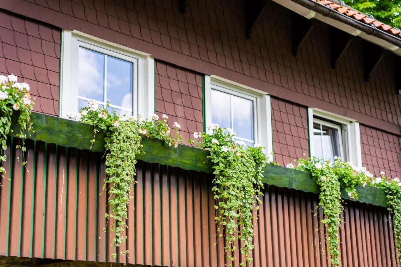 Haus Bergsonne Apartamento Braunlage Exterior foto